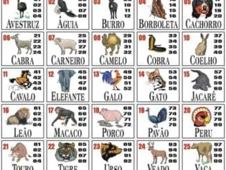 Vejas quais são as dezenas correspondentes a cada animal no jogo do Bicho e boa sorte!