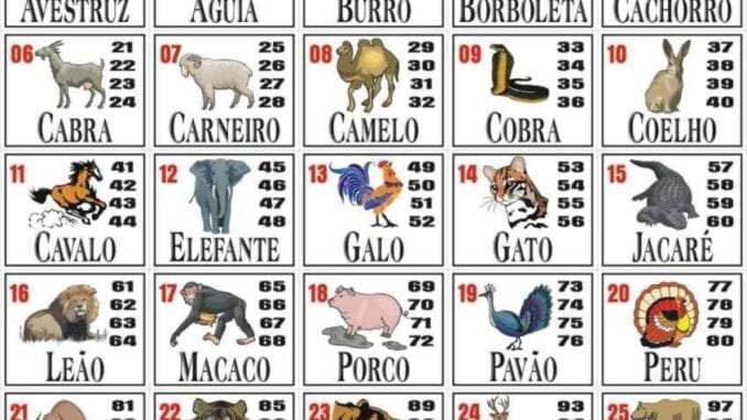 Jogo do bicho  Jogo de bicho, Tabela jogo do bicho, Jogos loteria