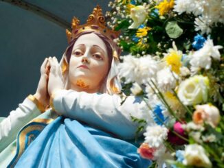 8 de Dezembro: Dia de Nossa Senhora da Conceição