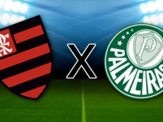 Brasileirão: saiba onde assistir Flamengo x Palmeiras nesta quarta-feira (20)