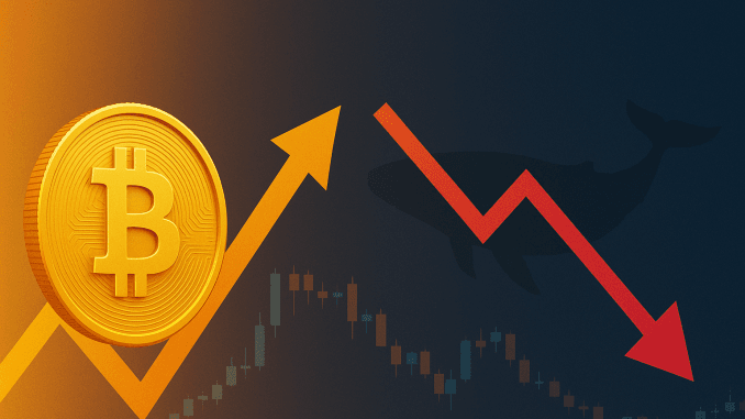 Bitcoin em Alta e Sinais de Correção no Mercado Ilustração com uma moeda dourada de Bitcoin, seta amarela apontando para cima e seta vermelha para baixo, com silhueta de baleia ao fundo e gráfico de velas.